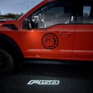 2015-2025 Ford F-150 LED Puddle Lights
